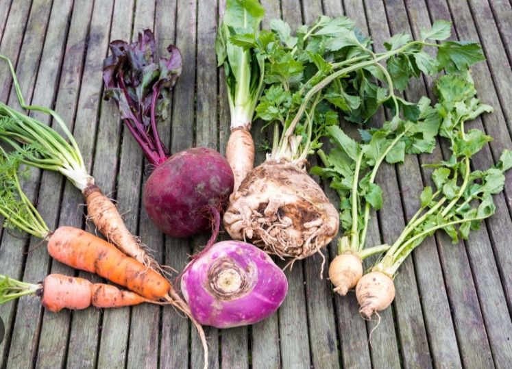 🌱 Détox : Les racines et tubercules à l’honneur ! 🌿